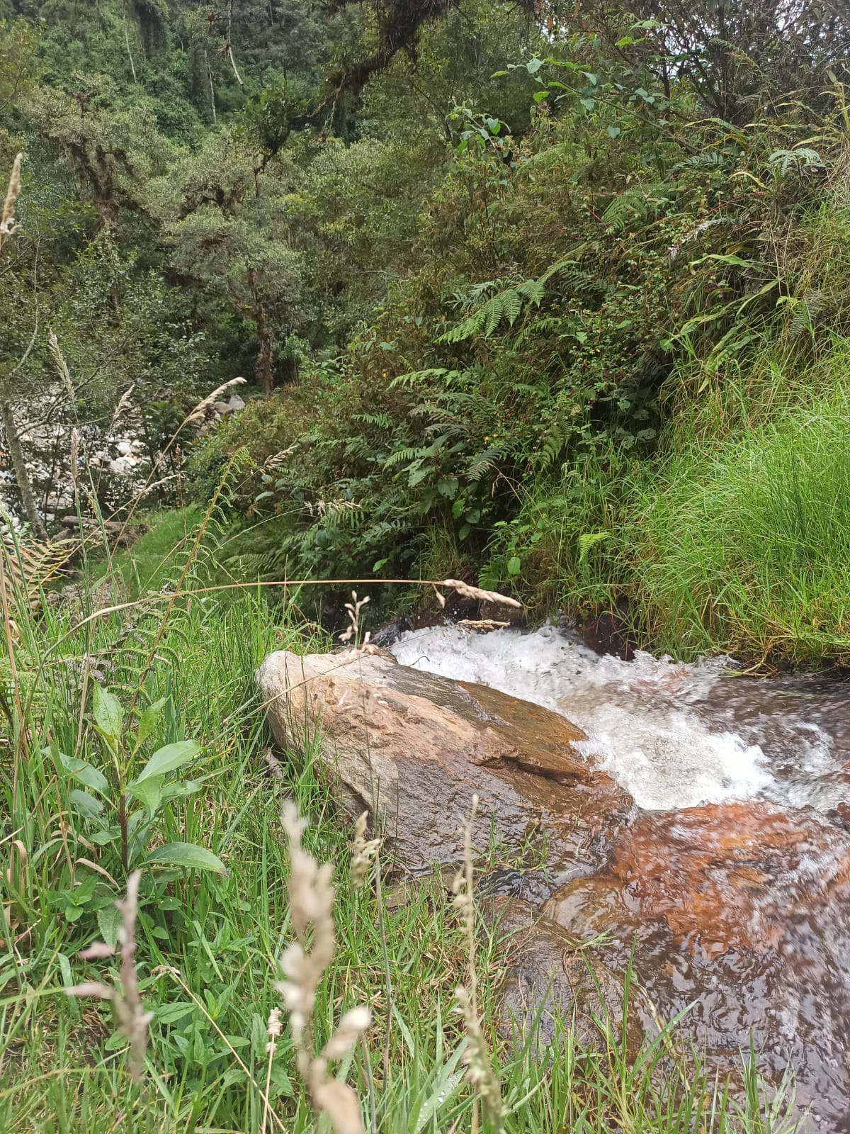 076b7d6a-1fbf-46eb-8e0e-e891b32b398d