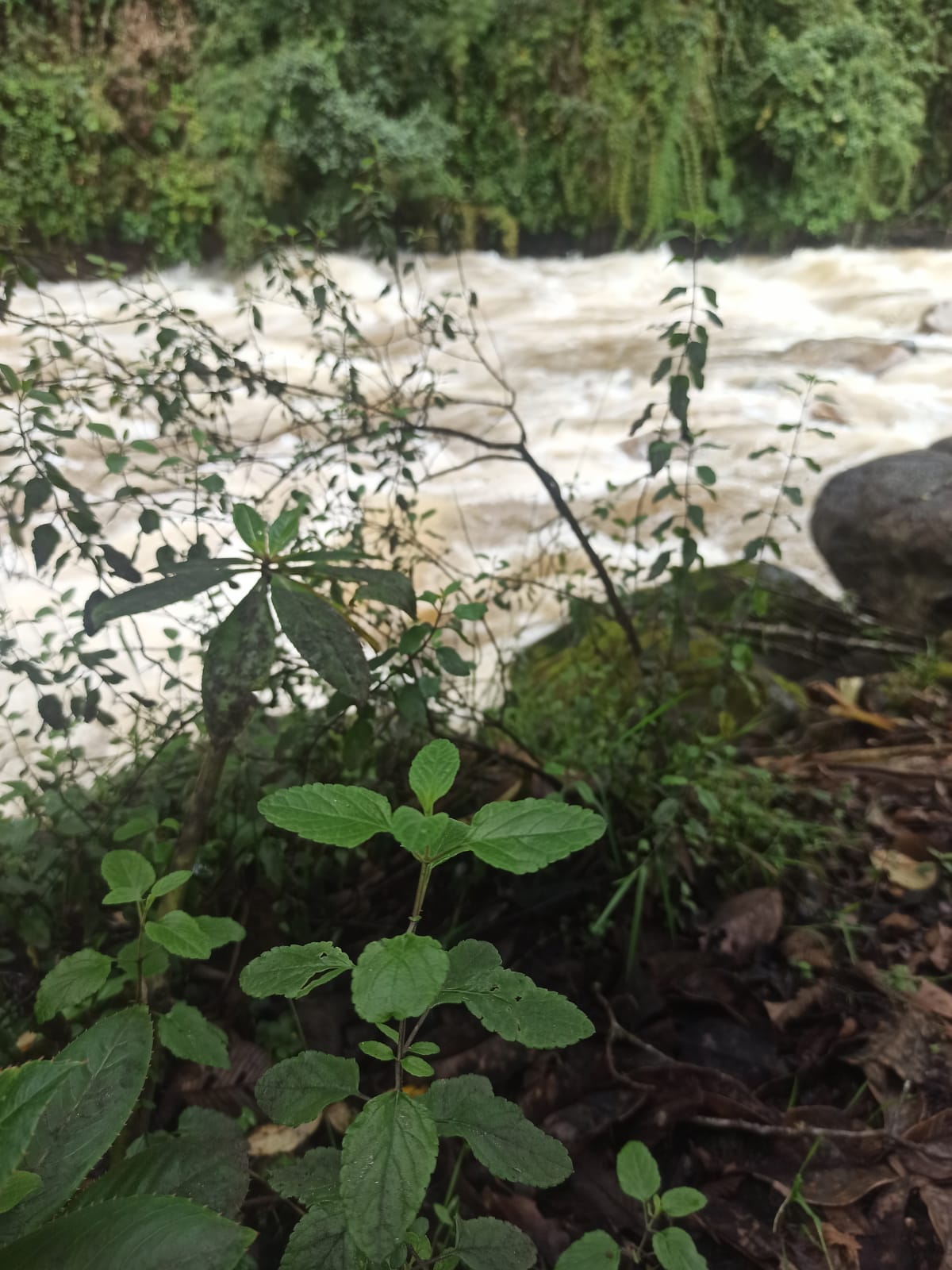 0b2f25b1-f99c-498d-bd6e-967fef80c9c1