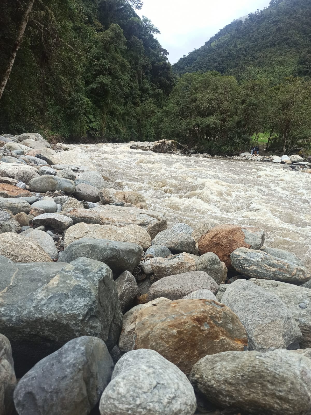 33e97129-1a82-49fa-b0e5-723de8a81d89