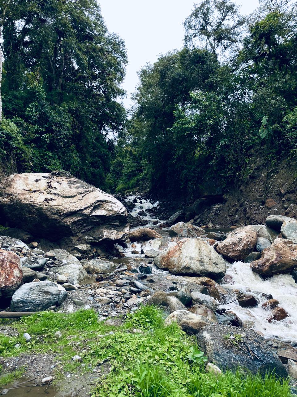 b4985c5f-e331-4c2c-89a4-89c6c23125a4