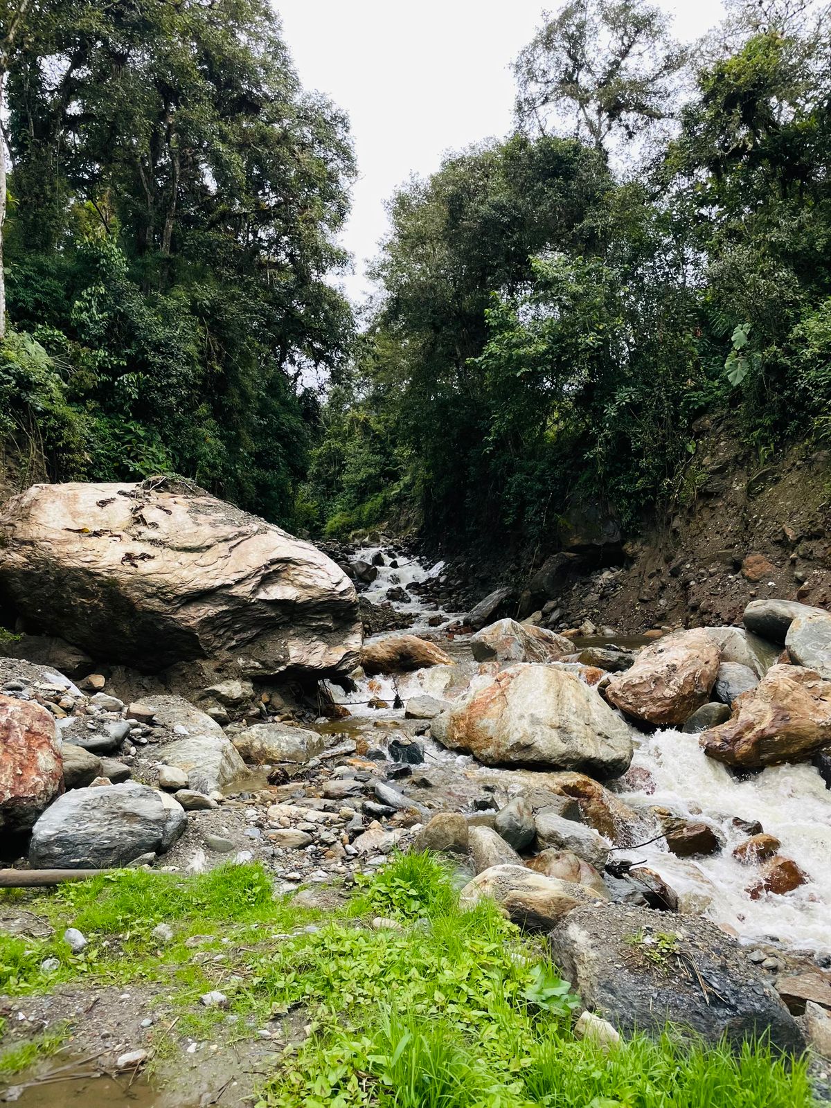 e365ab0f-3bdc-4624-affc-1518ffabb724